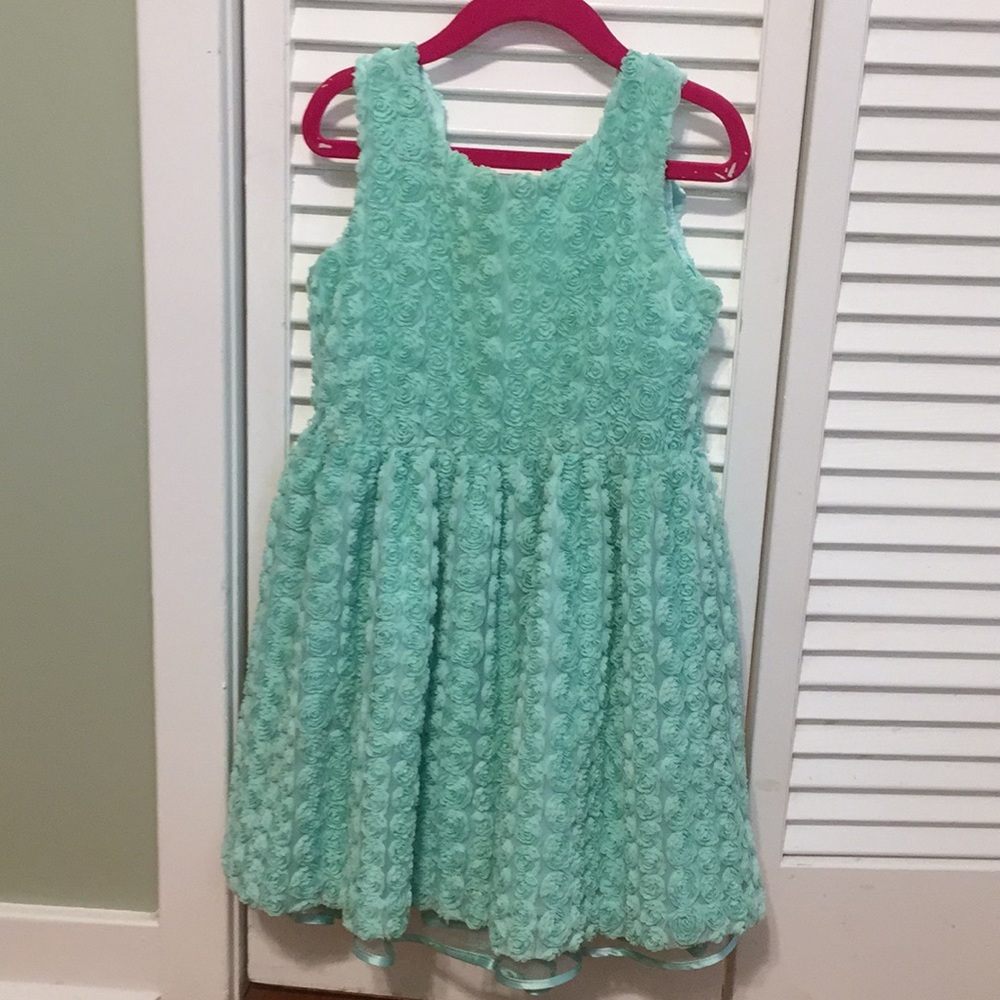 Teal rose dress